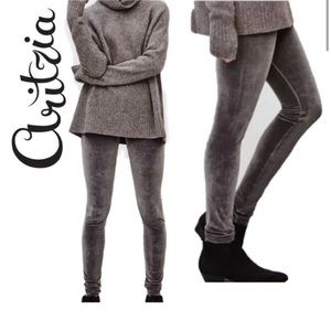 Wilfred Free Lavender Grey Velvet Leggings